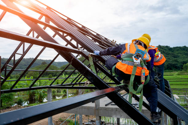 Best Roof Replacement Cost  in Rock Rapids, IA