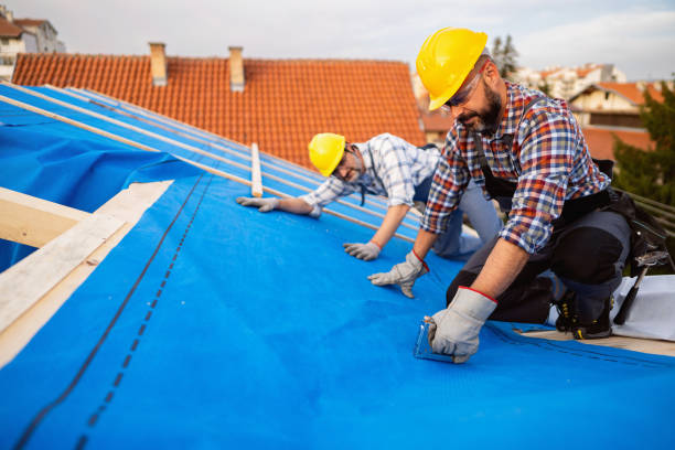 Best Metal Roofing Contractor  in Rock Rapids, IA
