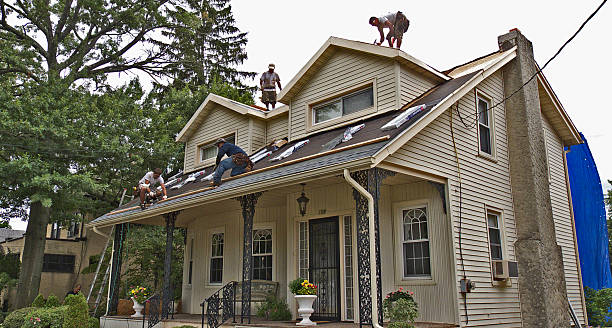 Best Roof Maintenance Services  in Rock Rapids, IA
